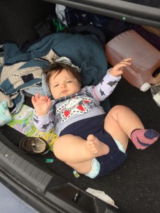 baby in trunk